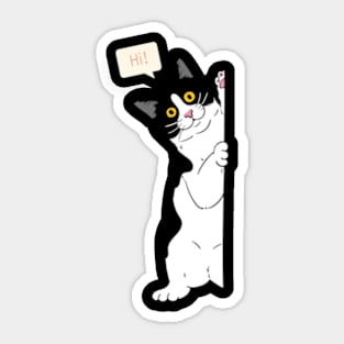 Peekaboo | Cat Lover Sticker